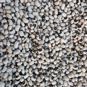 Pile of black eyed peas, which are a type of cowpea
