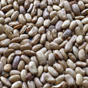Pile of brown beans sitting on top of a table