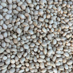 Pile of white soy beans sitting on top of a table, with the seeds of the beans visible