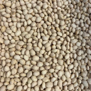 Heap of uncooked white legumes