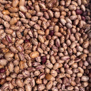 Heap of uncooked pinto beans