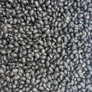 Pile of black beans