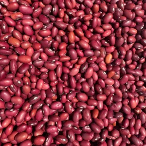 Close-up of red kidney beans