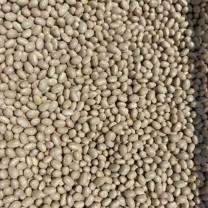 Close-up of numerous white beans