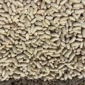 Close-up of white beans