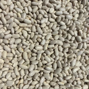 Heap of raw white legumes