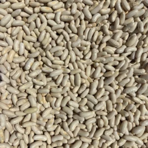 Pile of uncooked white beans