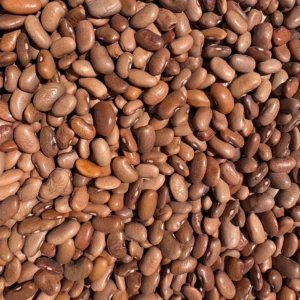 Heap of dried brown beans