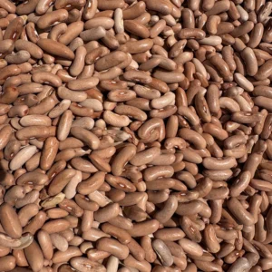 Raw brown kidney beans