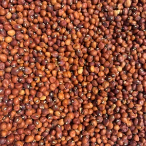 Red sorghum grains scattered closely