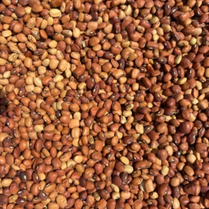 Close-up of mixed brown beans