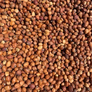 Pile of reddish-brown sorghum seeds