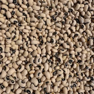 Close-up of black-eyed peas