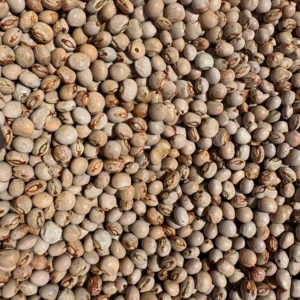 Pile of brown beans