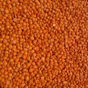 Pile of dried orange lentils