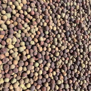 Assorted round seeds background