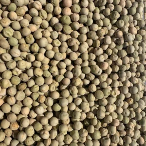 Abundance of dried peas