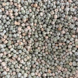 Pile of mixed dried peas