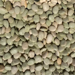 Pile of uncooked green lentils