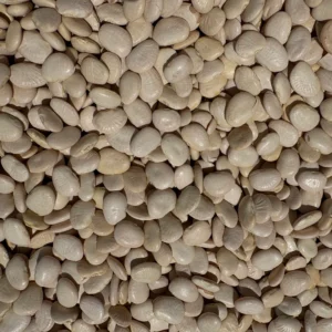 Pile of uncooked white beans