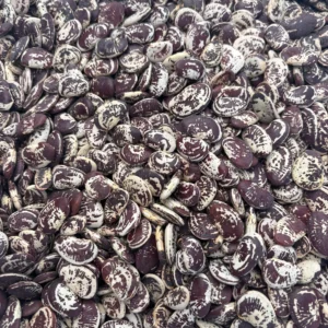 Heap of patterned beans