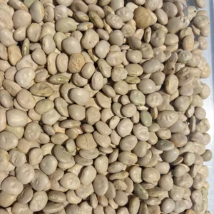 Heap of raw lentils